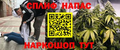 шишки Кулебаки