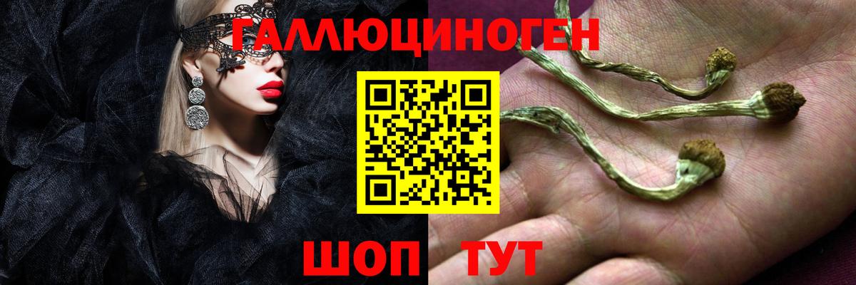 Кирово-Чепецк  Галлюциногенные грибы Psilocybe  Вход с VPN  Псилоцибиновые грибы MAGIC MUSHROOMS 